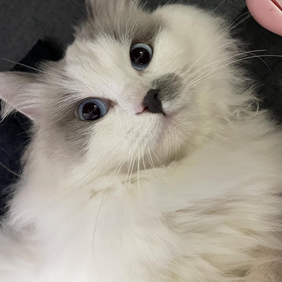 好好睡觉