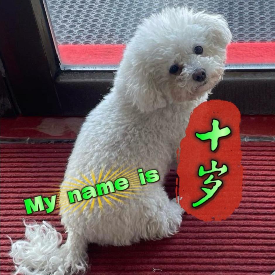 心心布艺缝纫铺