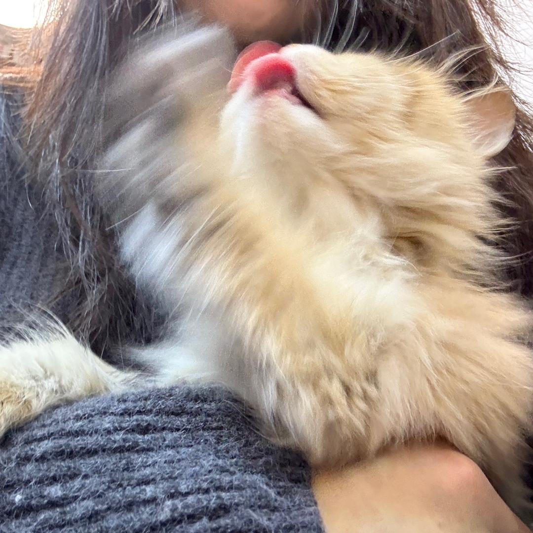 ✧٩(ˊωˋ*)و✧，