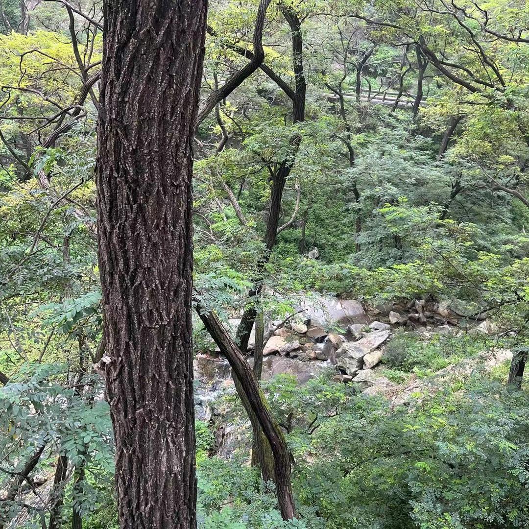 刘老三