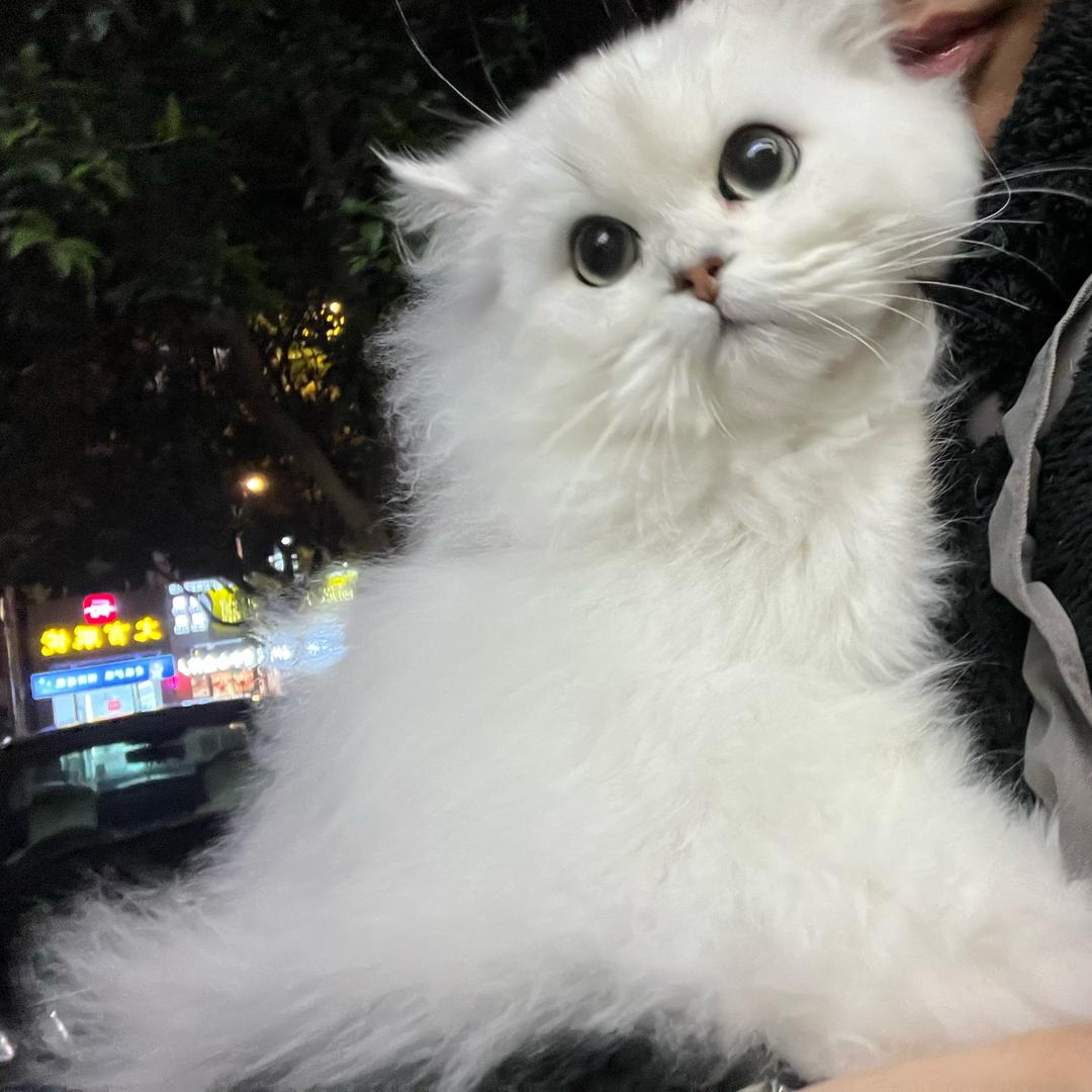 小李阿妹🌸