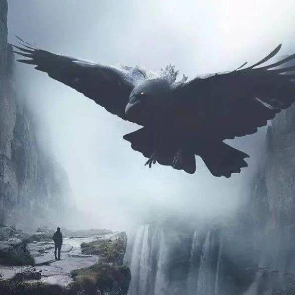 阿达电商（不封播）