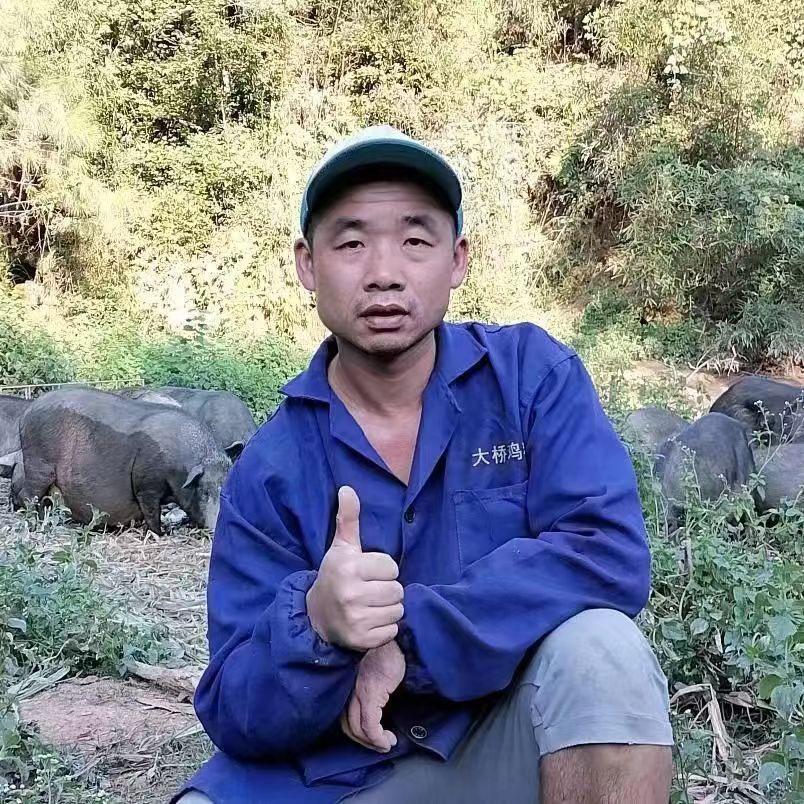 周哥农村养殖