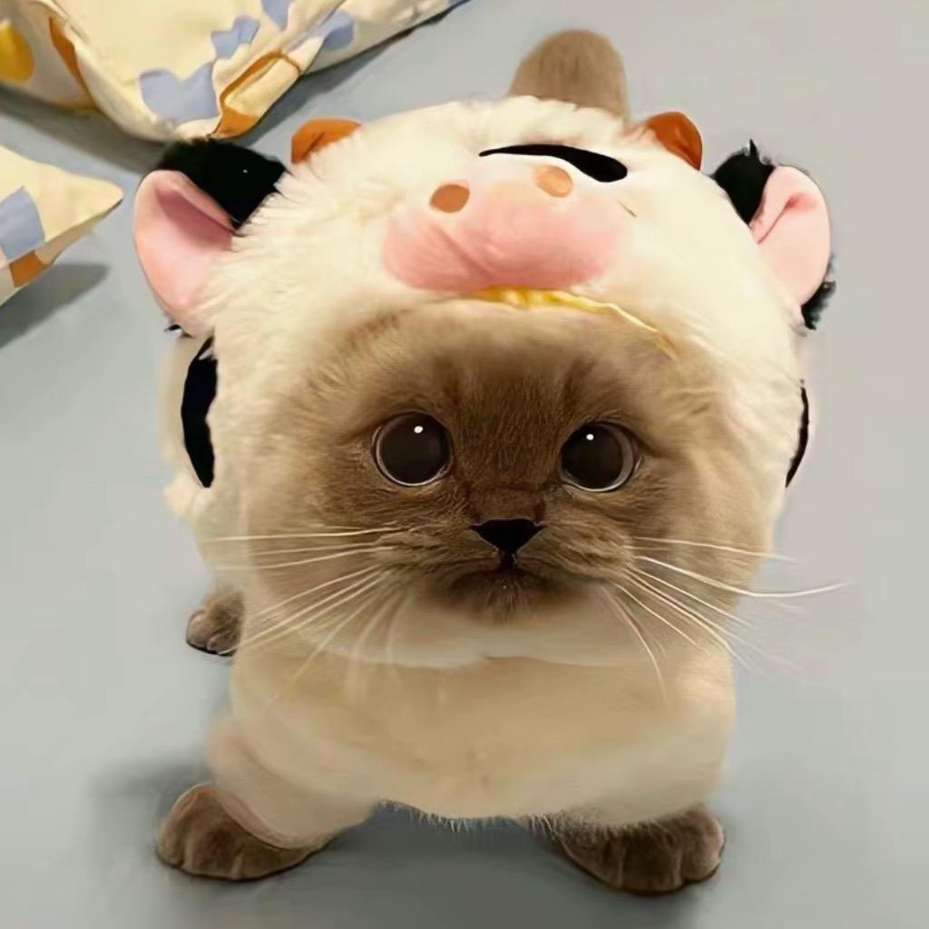 慕楠汐