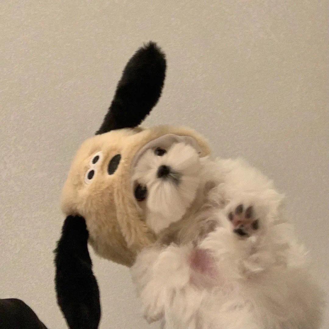 轰轰