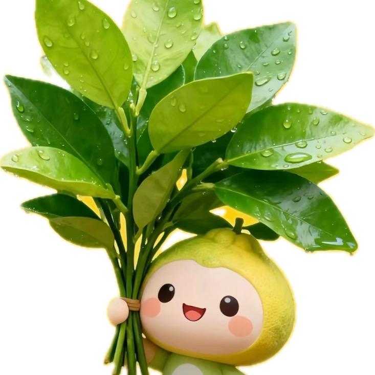 金丹大脑袋