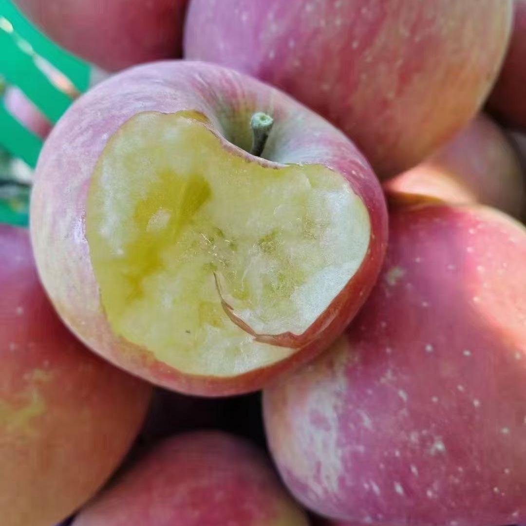 昭阳区柰园特色鲜果小铺