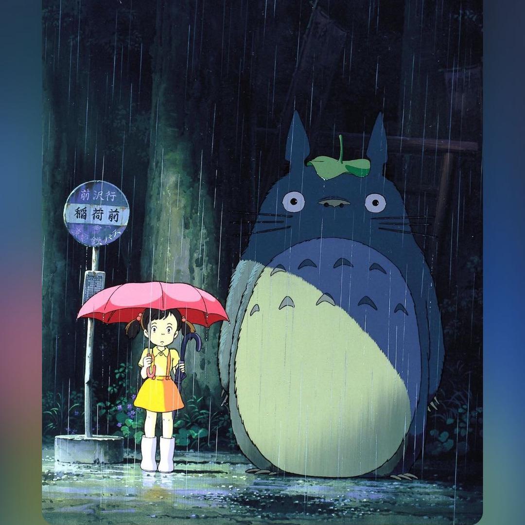 爱吃猫的鱼儿