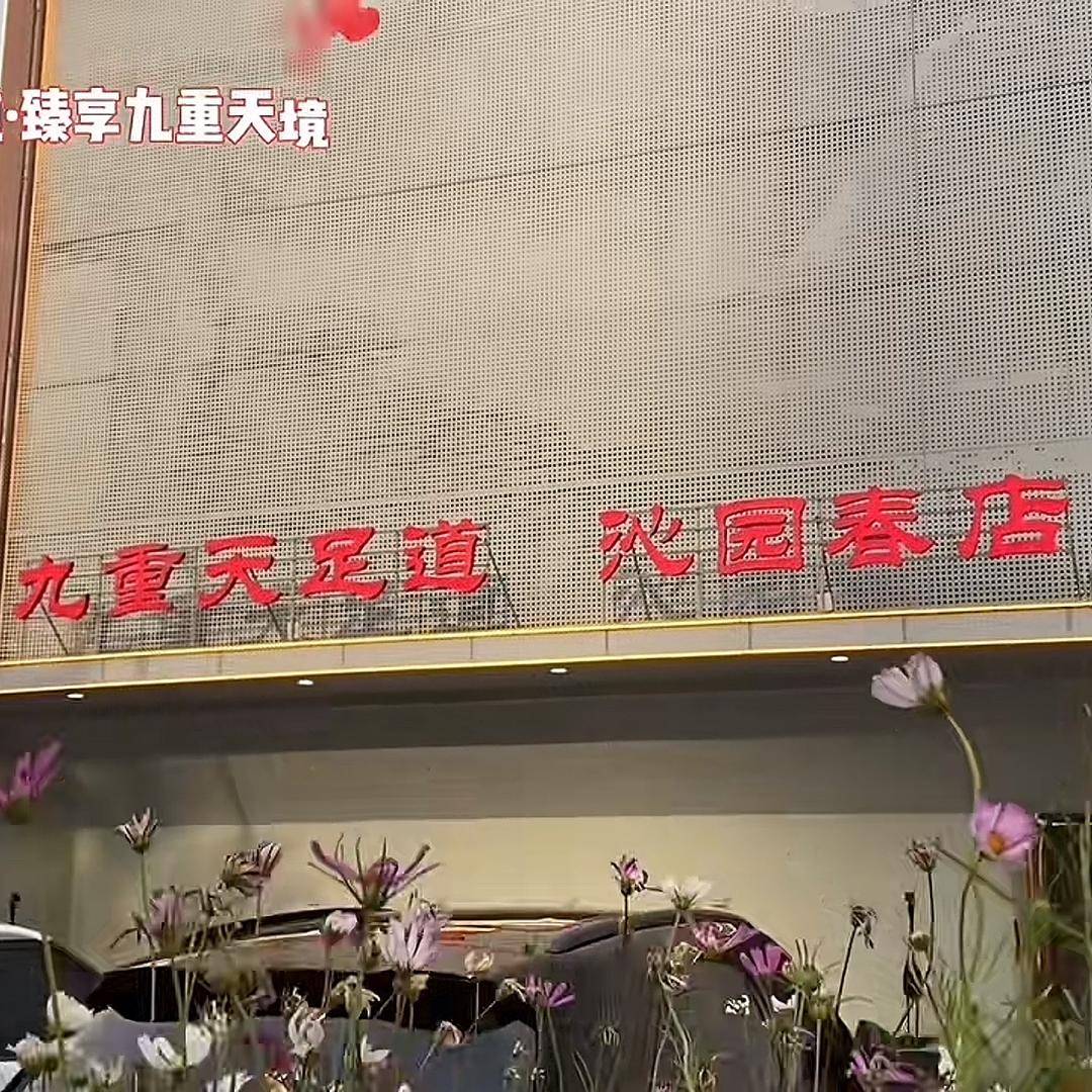 九重天沁园春锦