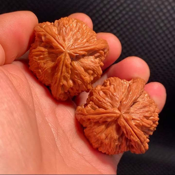 碧隗