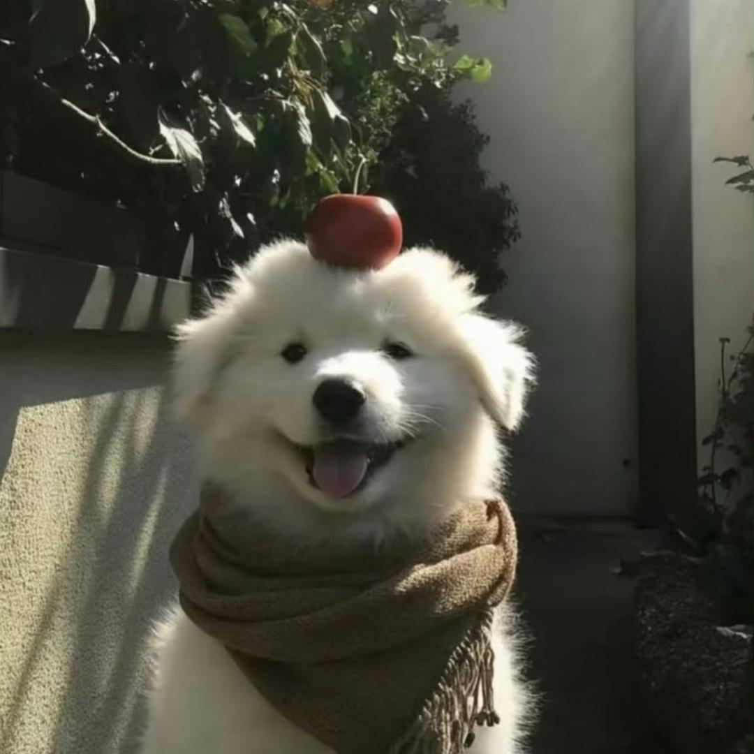 失重