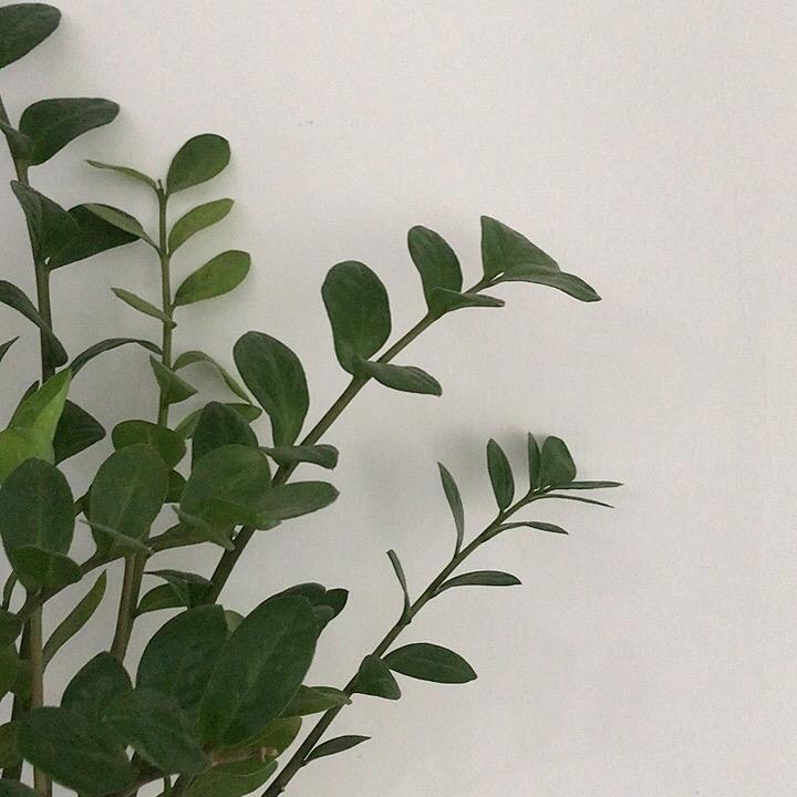 白云Sa姐