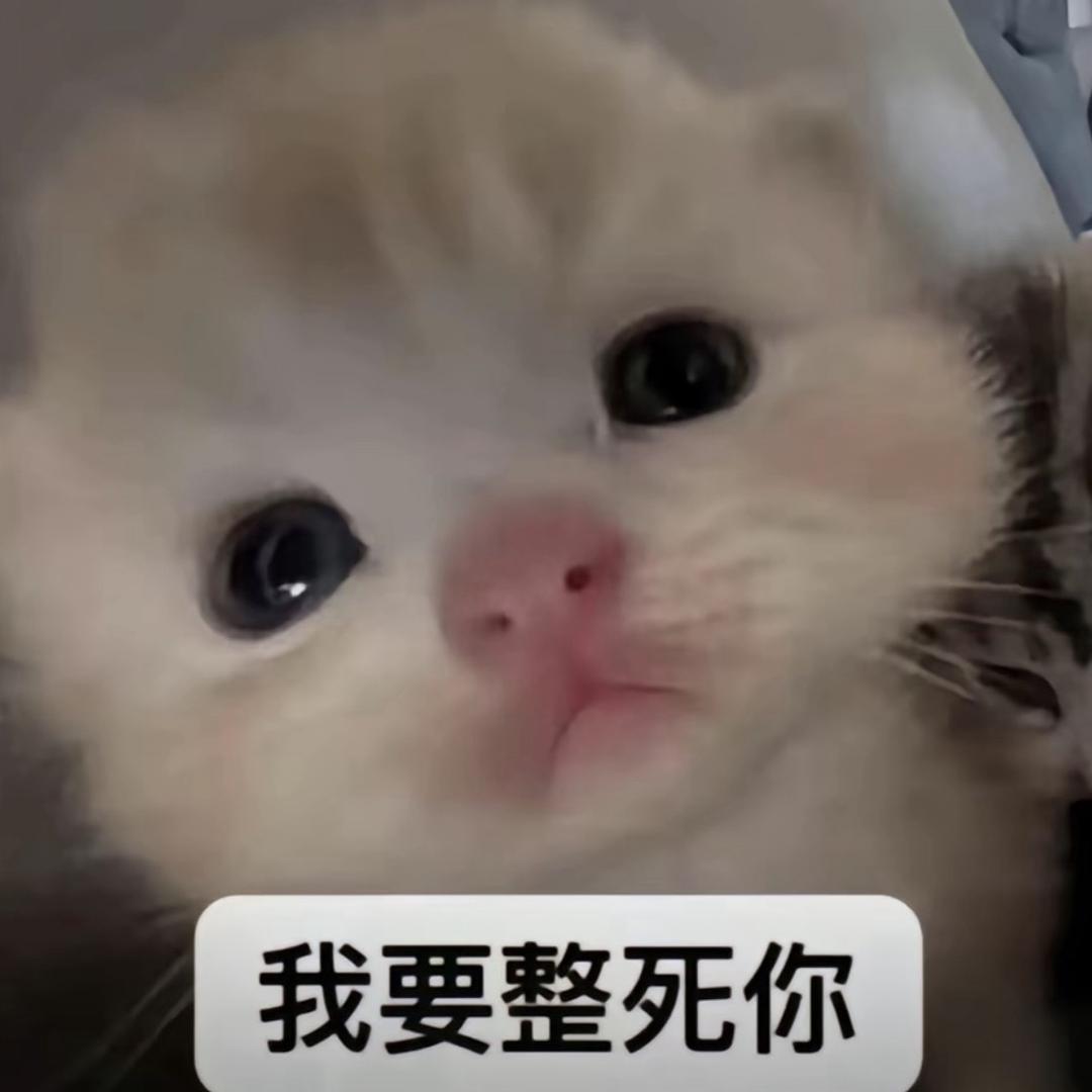 我系小猫