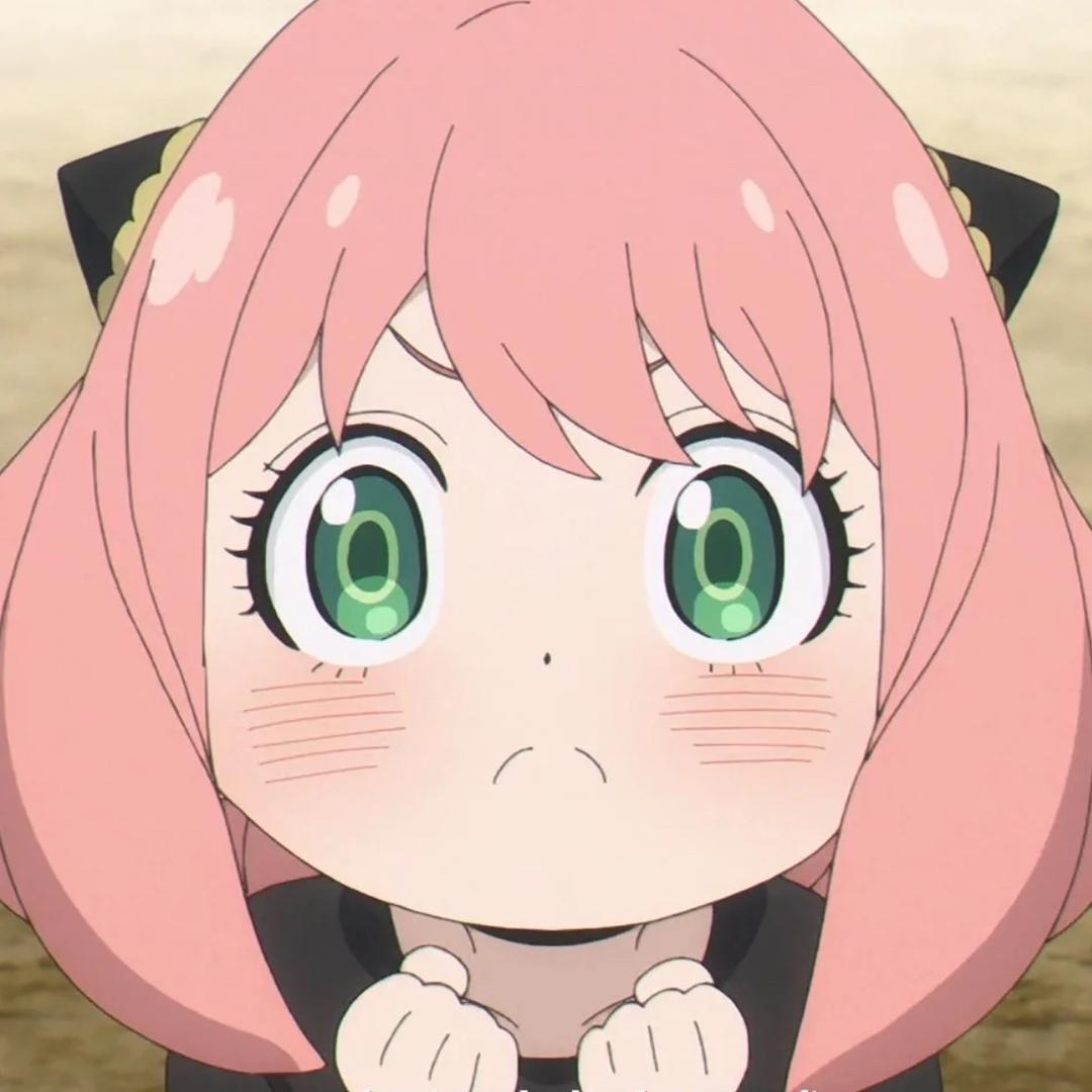 🐙🦌🌧️