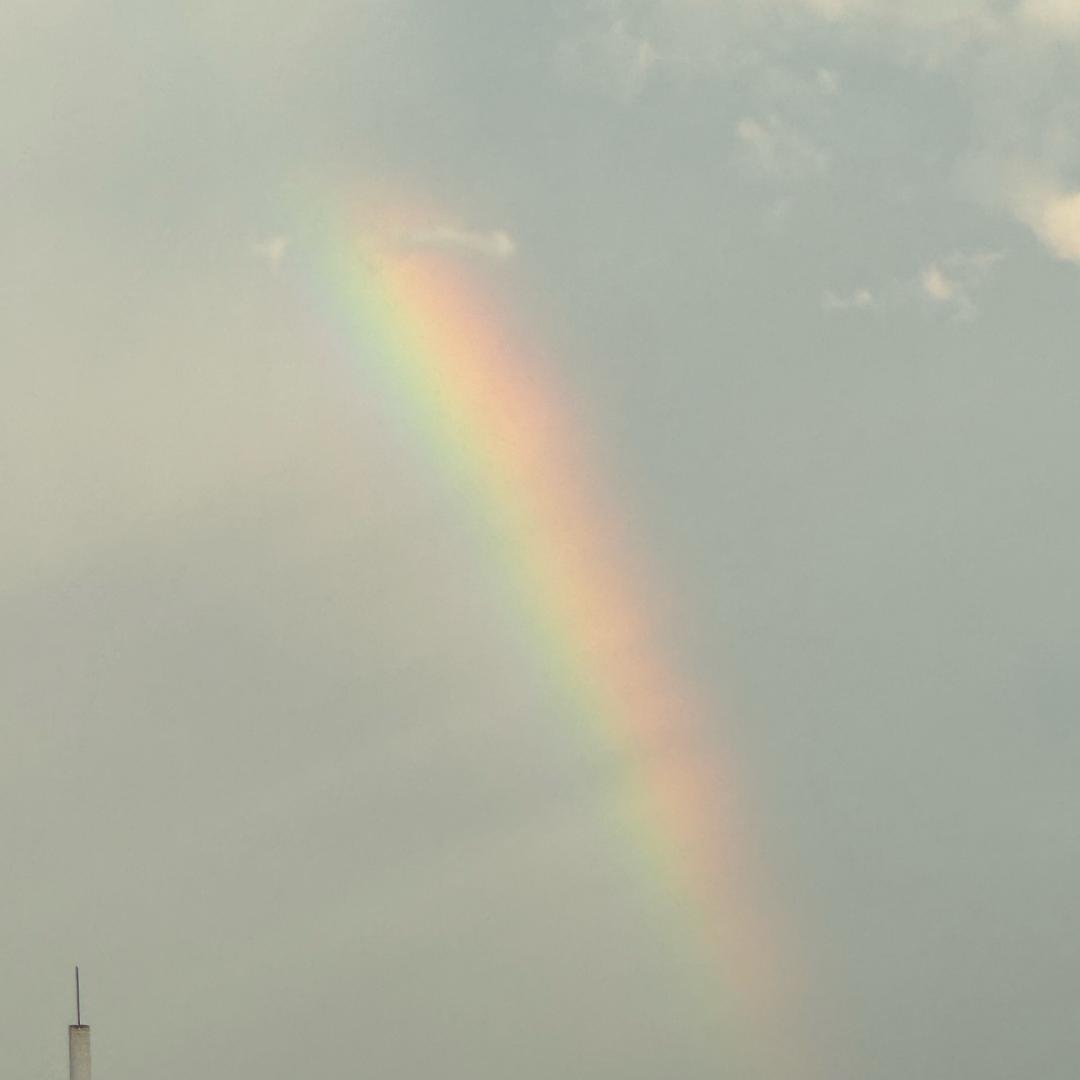 🐮今天睡觉了吗