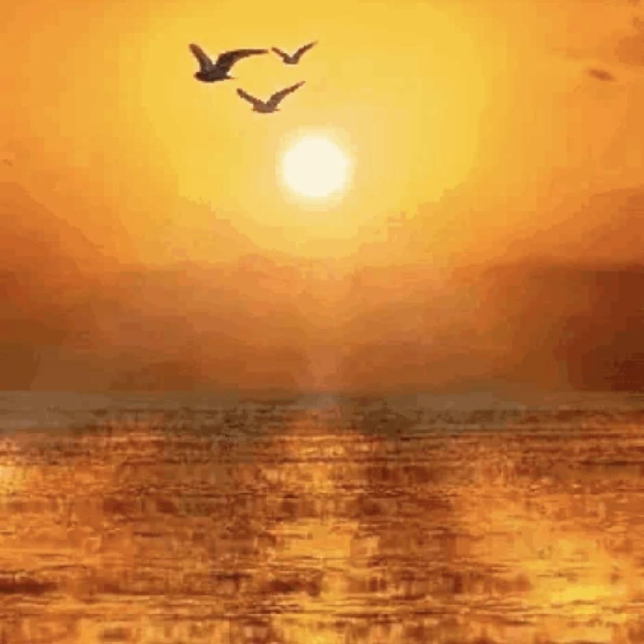 三千弱水金波漾