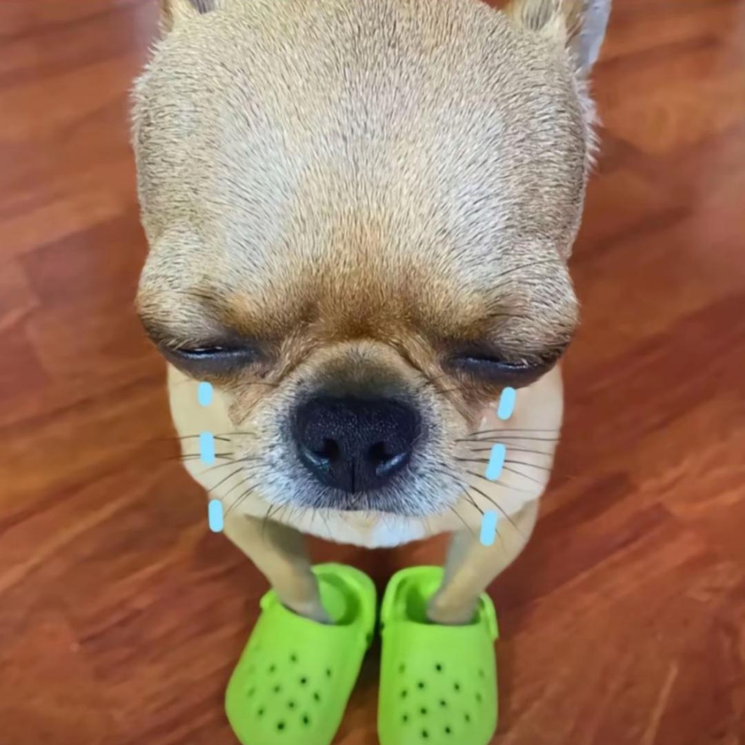 长得像佐助