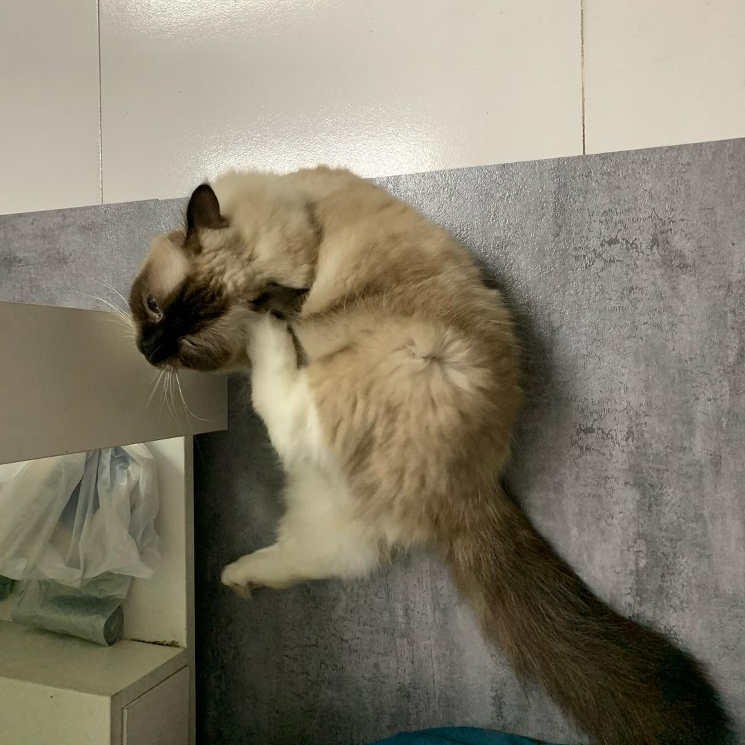 廖廖廖廖佳泽吧