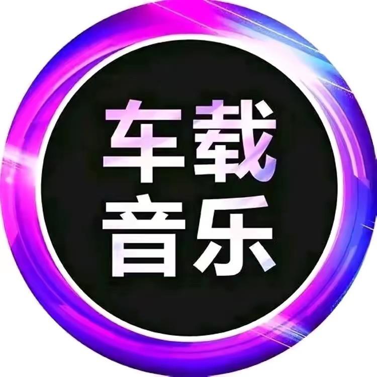 柏林之音车载U盘