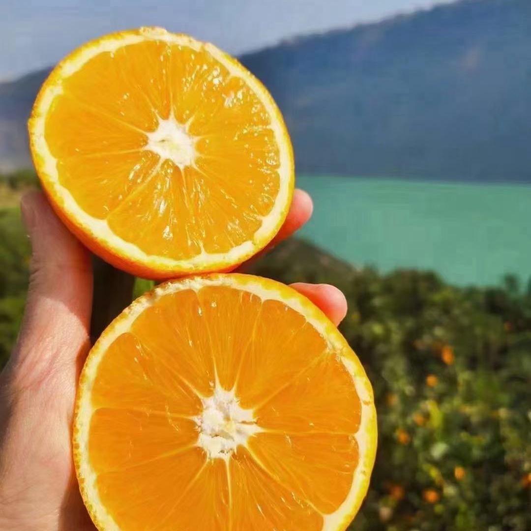 小周的果园