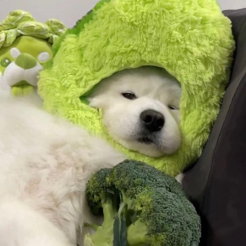 可可☁️
