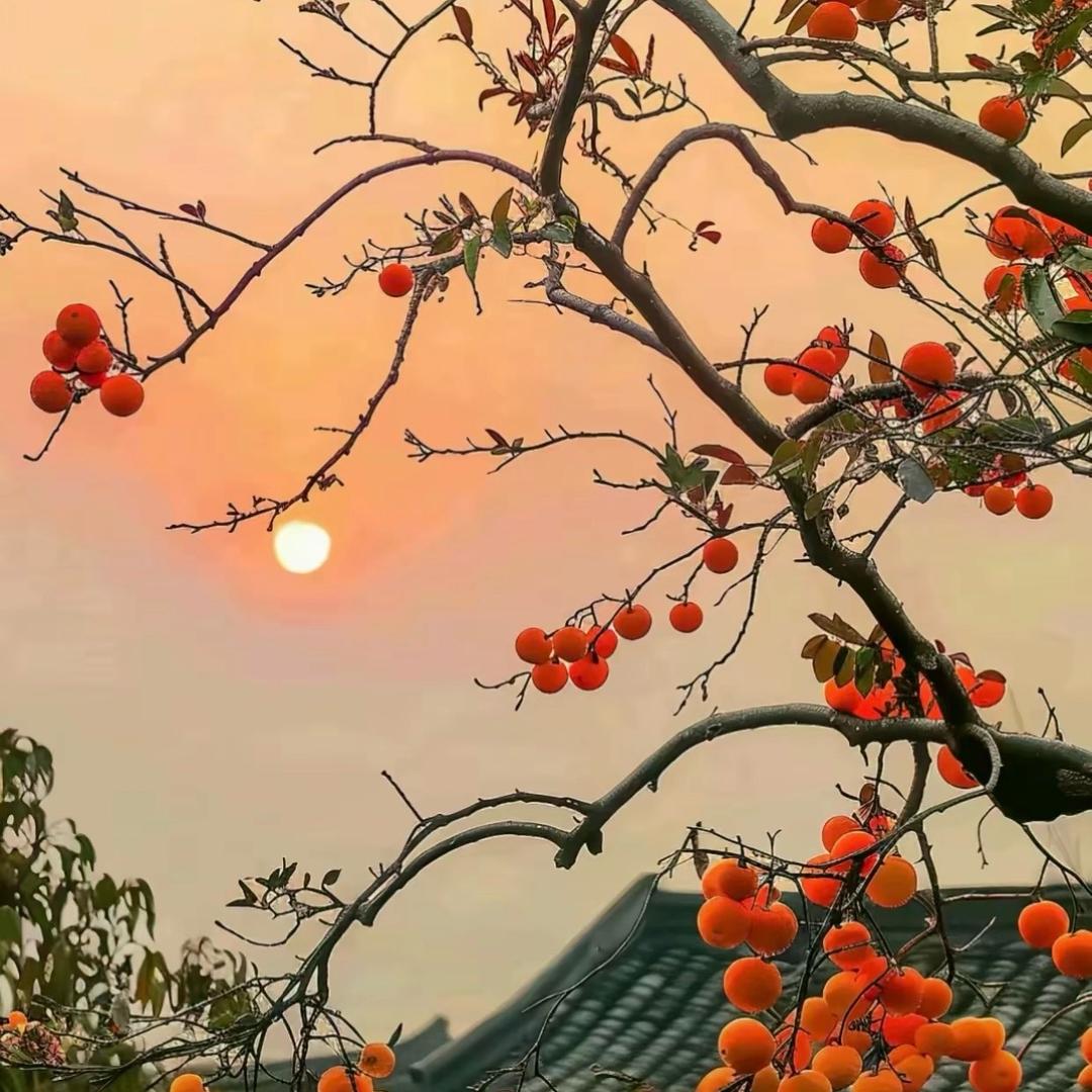 张永立