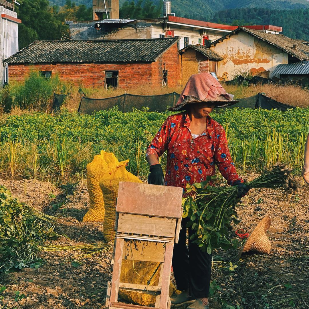 花生食品传承世家
