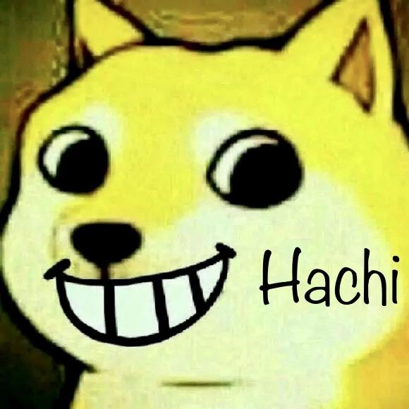 Hachi