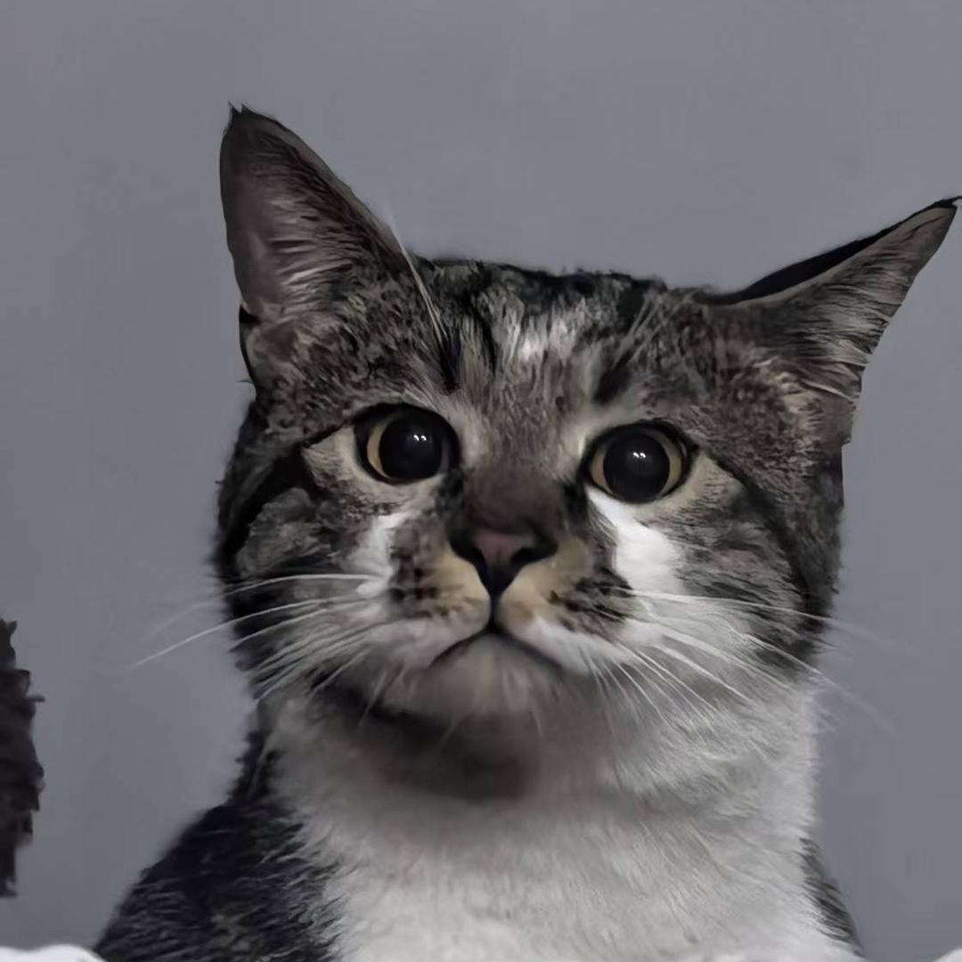 给你邮寄月亮🌙