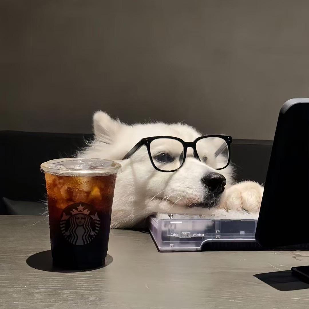 VVu