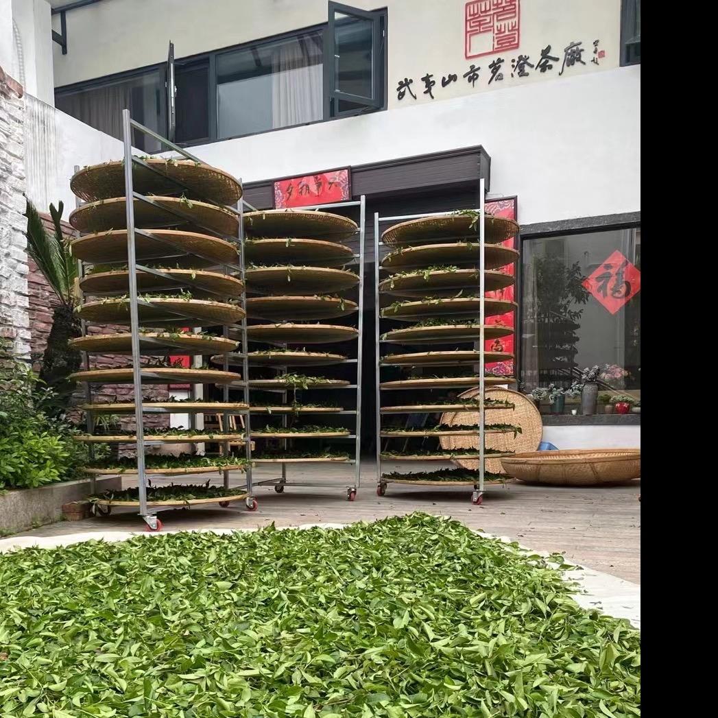 武夷山茗澄茶厂