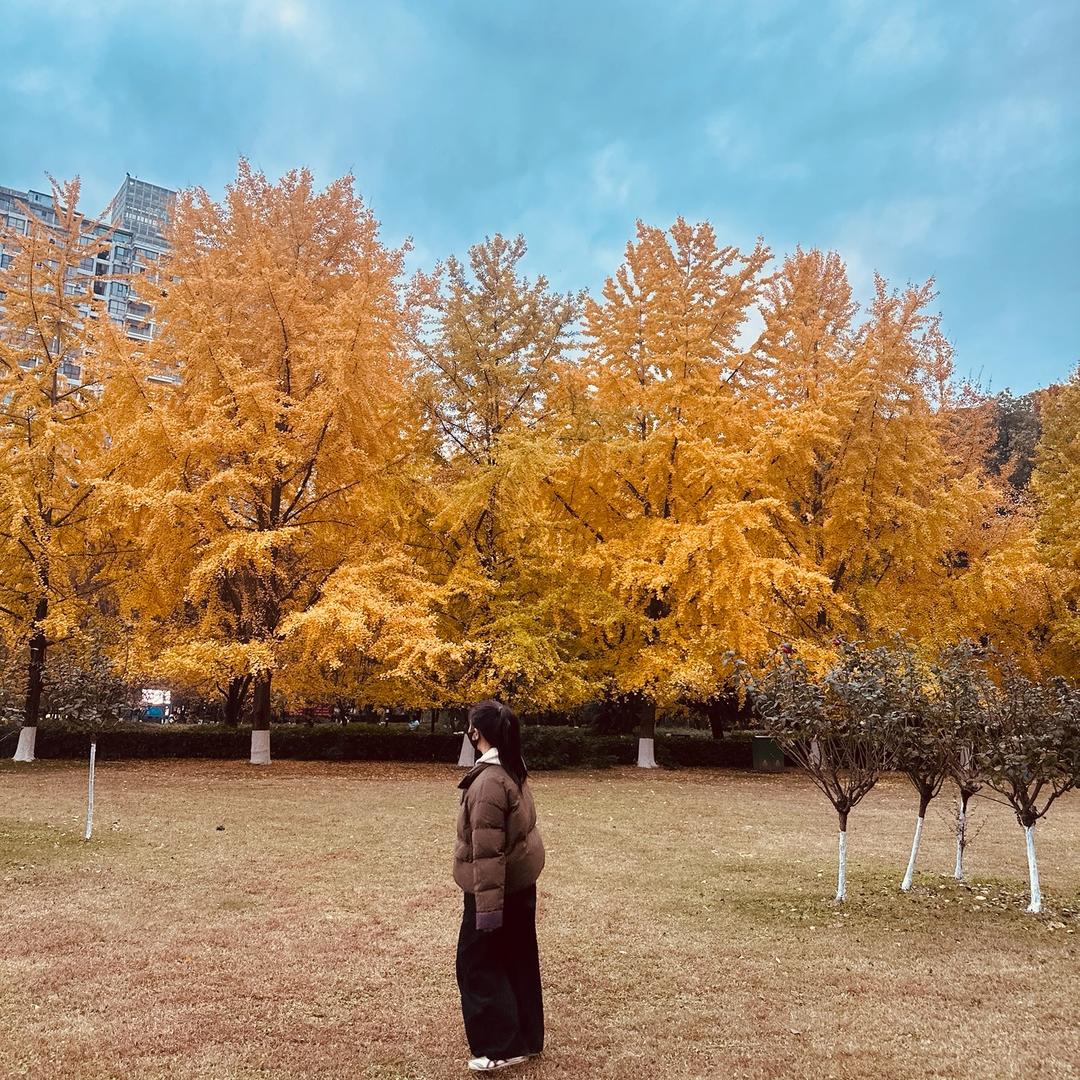 宝藏家居杂货铺