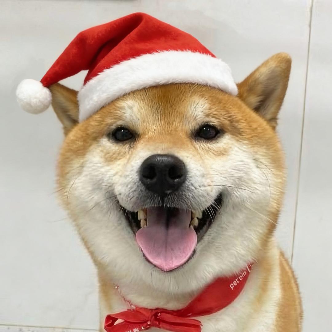 会拉花の尛将军²²⁸