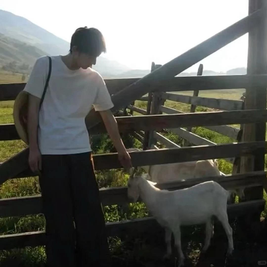 许不肉