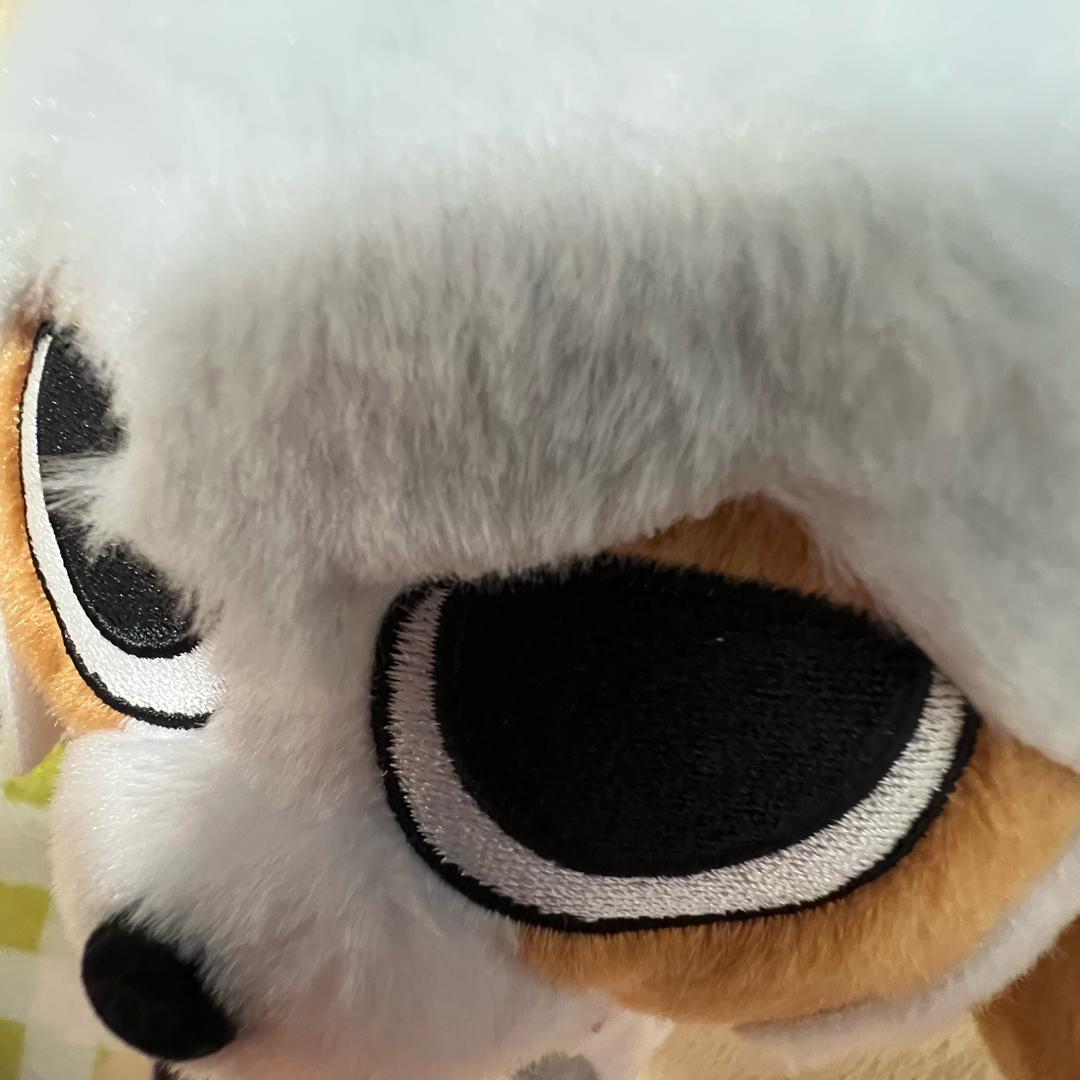 我的思念将追随你进入梦乡