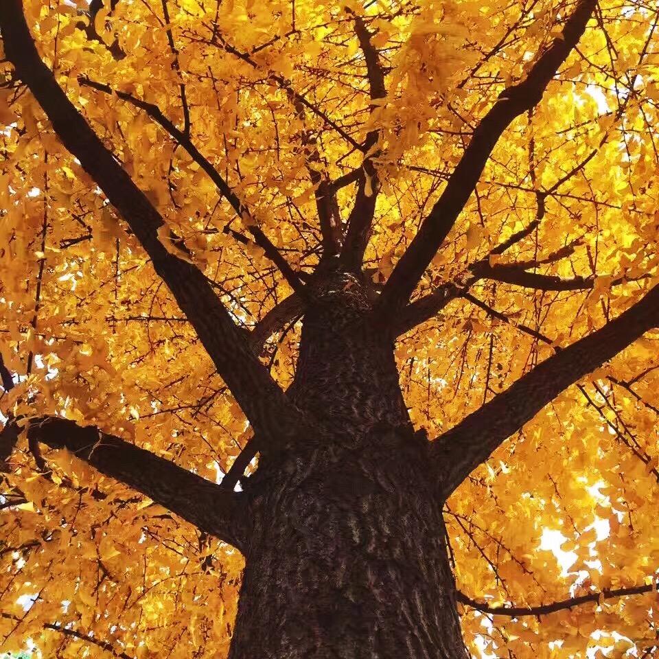 余涨廷_爱自己爱家人爱生活