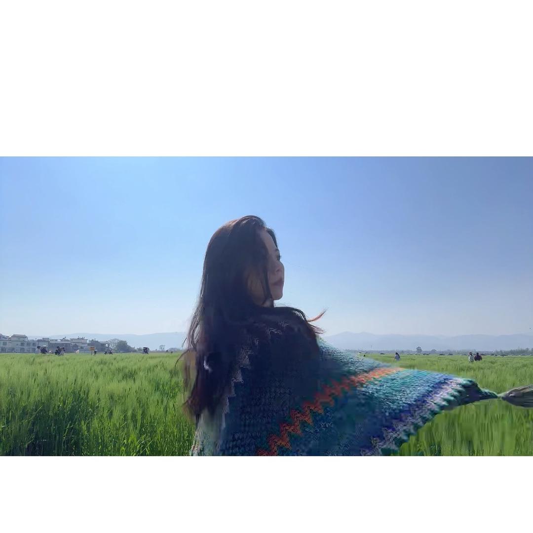 故宫的乌鸦