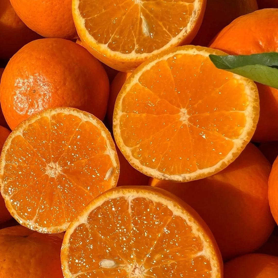 赣南脐橙直发产地