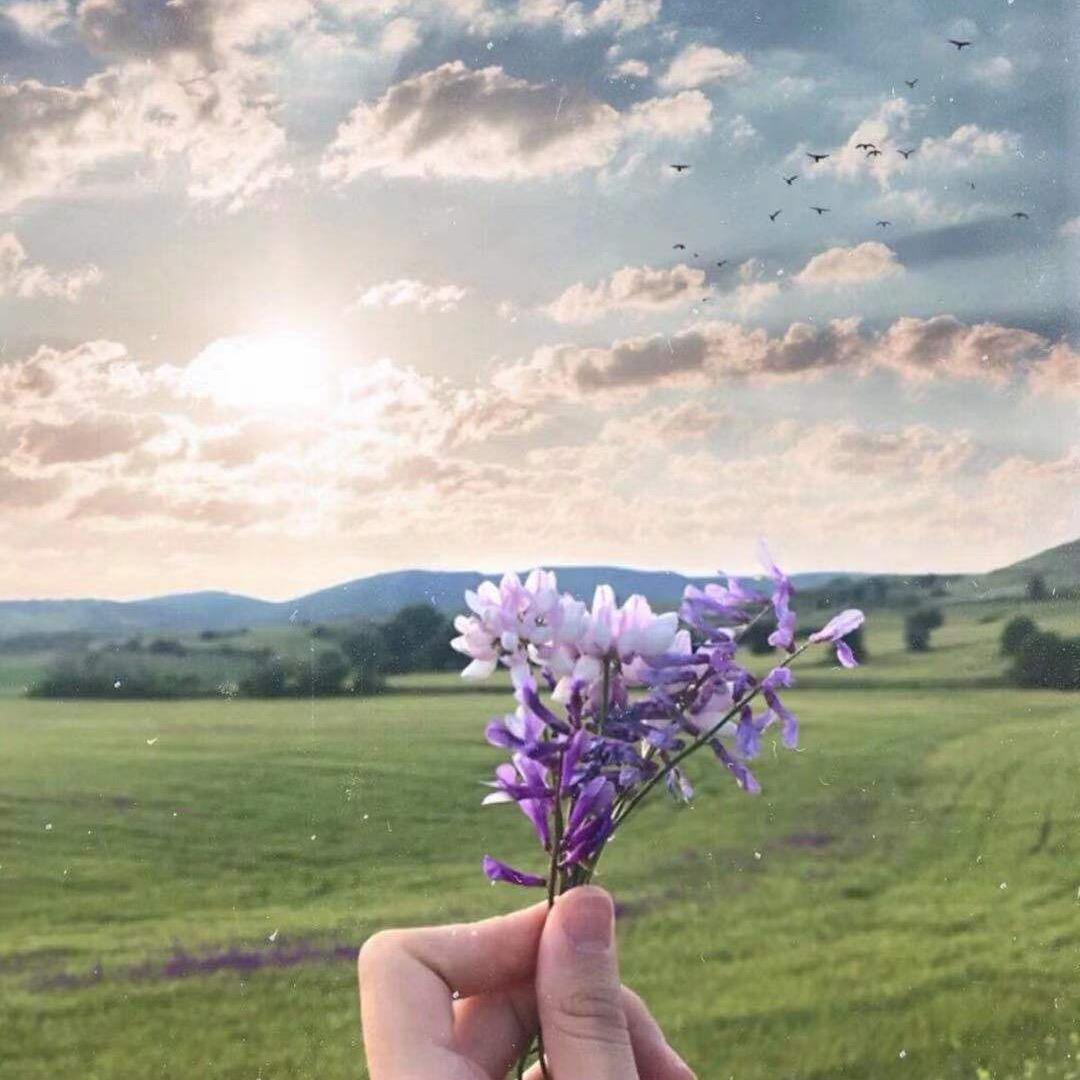 四叶草🍀