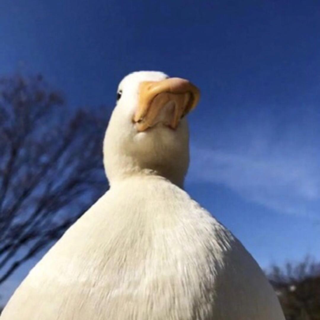 龙铁柱