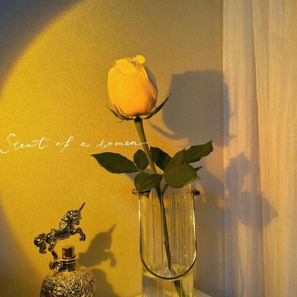 丢不起的信～仰