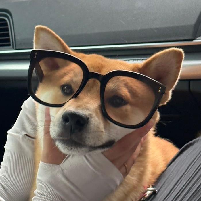 一串英文