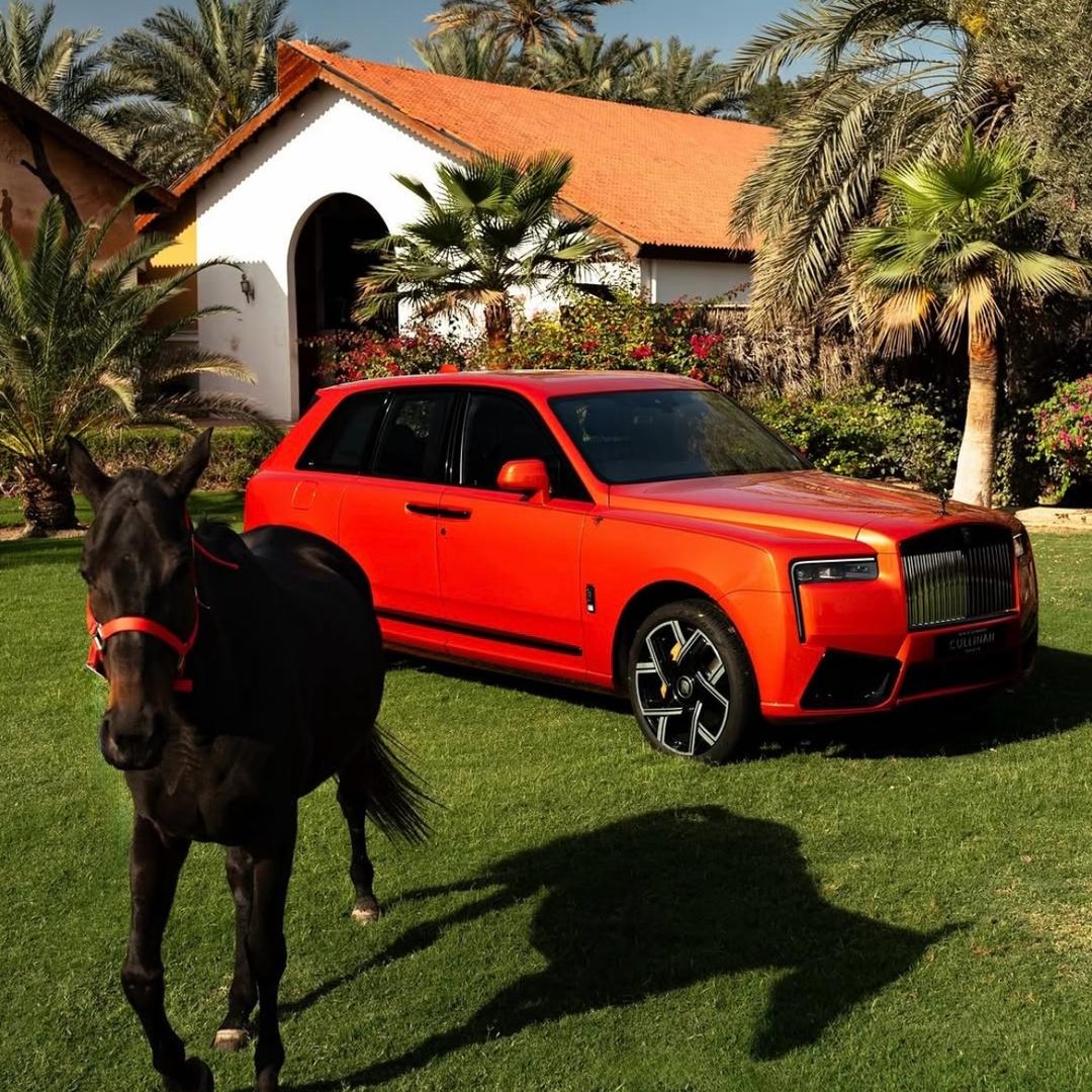 帝豪“国际贸易”