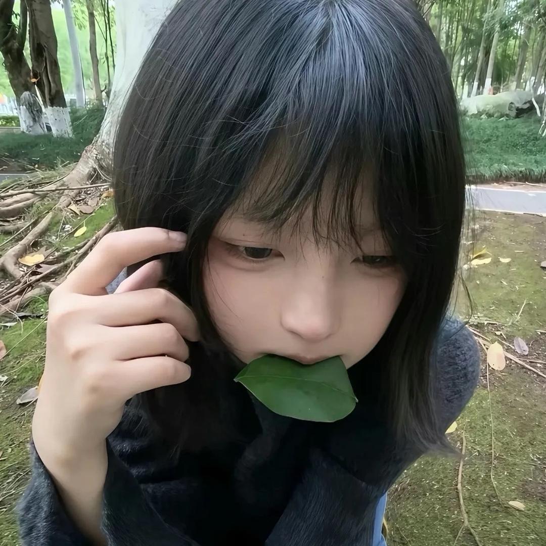 crj