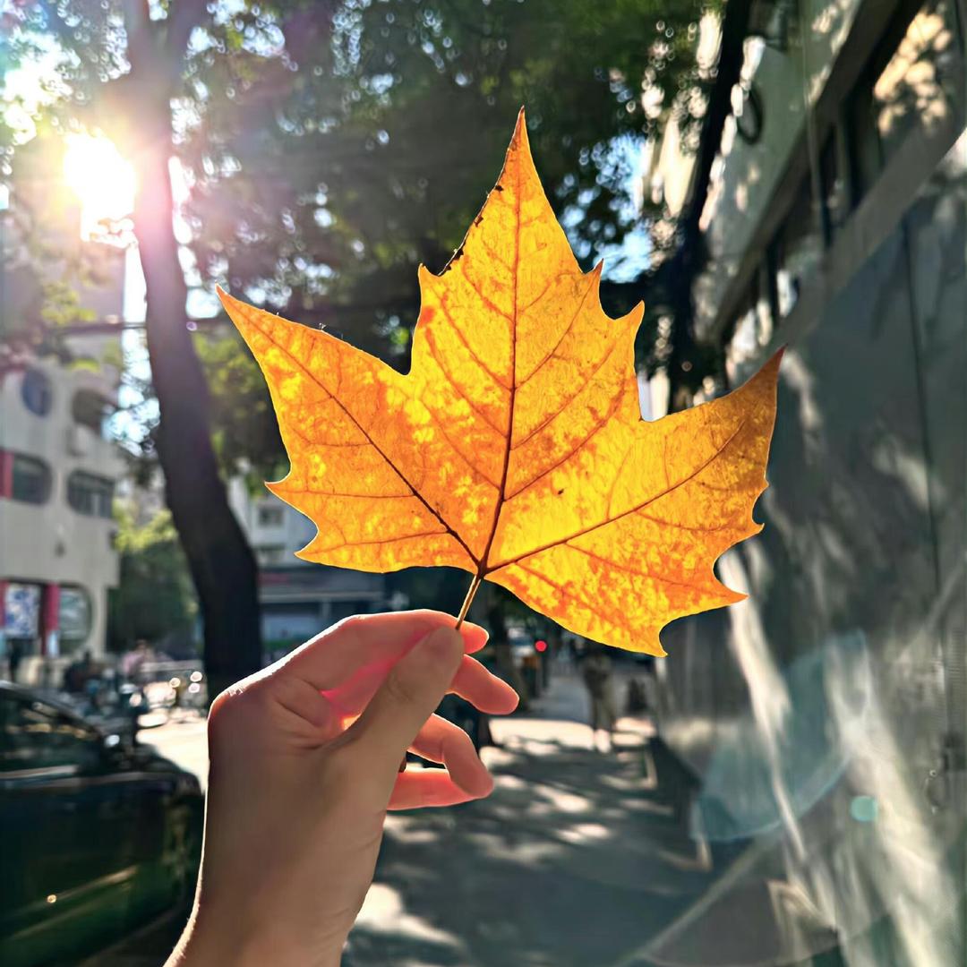 余悸🍃