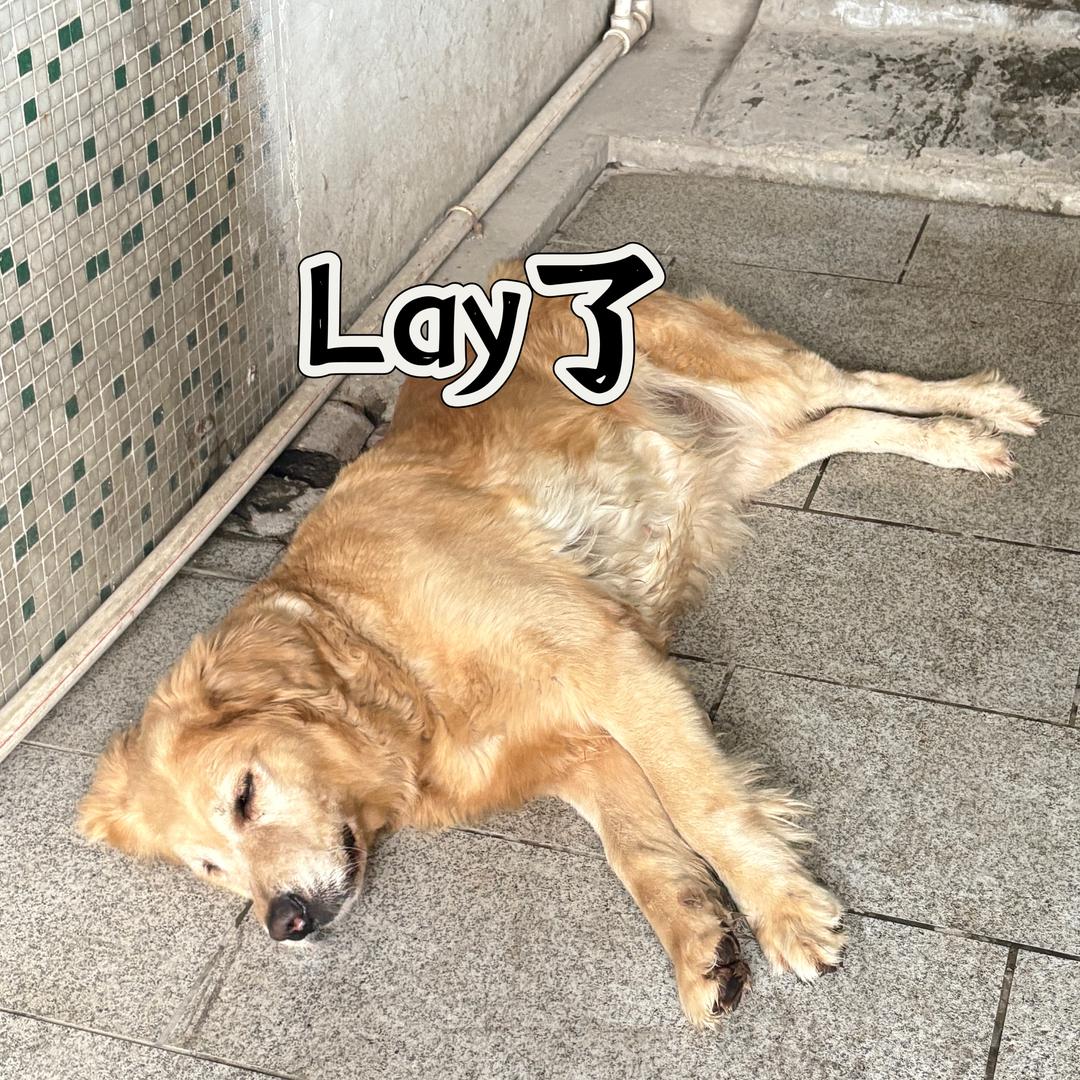 🌈🌹蛋糕🍰🌈