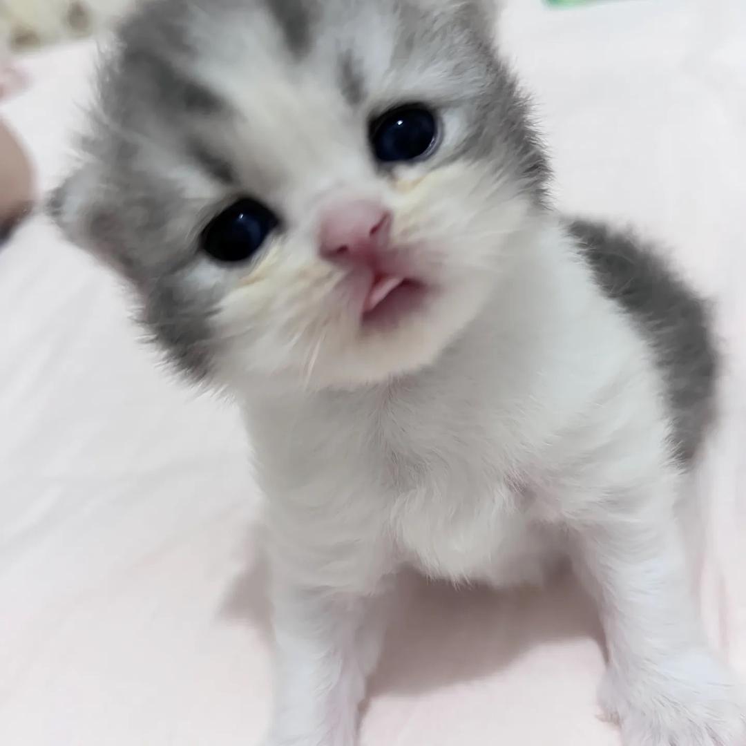 陈德豪是我爸爸1