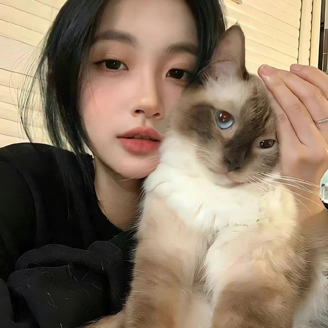 小猫不吃鱼🐟