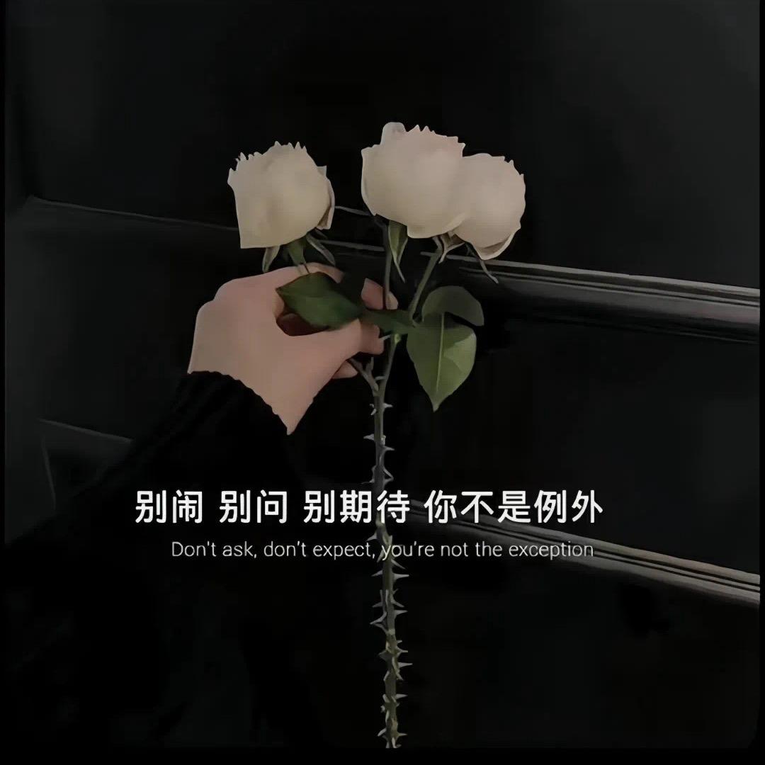 🍀晚风