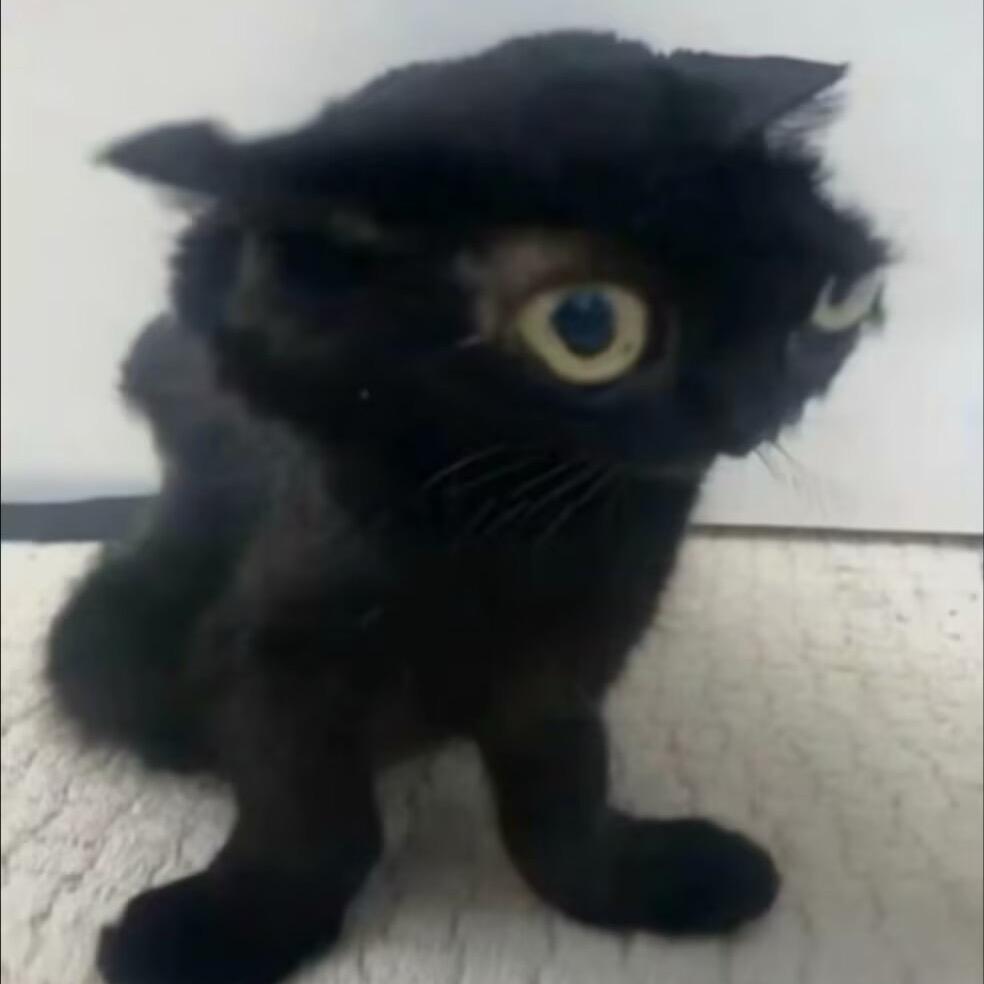 信徒甲